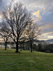 Sunrise in the mountains in the winter with dead trees 
