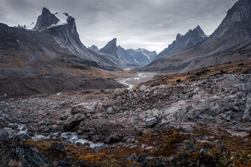 Wild Weasel river winds through remote arctic valley of Akshayuk Pass, Baffin Island, Canada on a cloudy day. Dramatic arctic landscape with Mt. Breidablik and Mt. Thor. Autumn colors in the arctic.