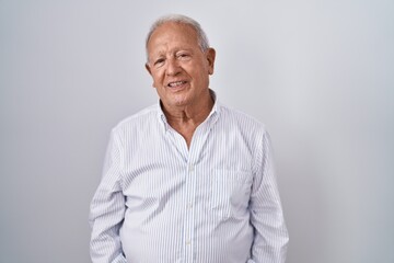 Obraz premium Senior man with grey hair standing over isolated background relaxed with serious expression on face. simple and natural looking at the camera.