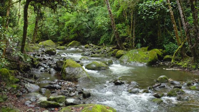 Aerial Drone View of River in Costa Rica Rainforest Scenery, Beautiful Nature with Water Flowing Through the Jungle at Savegre, San Gerardo De Dota, Central America