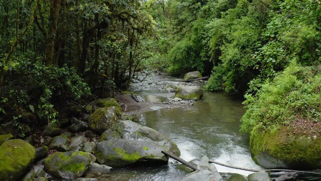 Aerial Drone View of River in Costa Rica Rainforest Scenery, Beautiful Nature with Water Flowing Through the Jungle at Savegre, San Gerardo De Dota, Central America