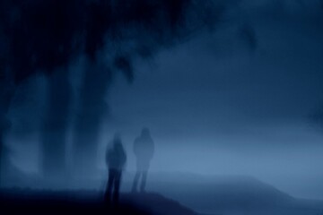 night misty forest