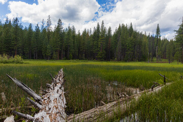 Butterfly Valley Califonia