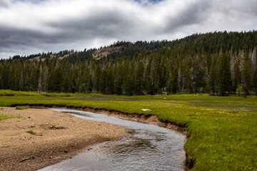 A creek in a meadow