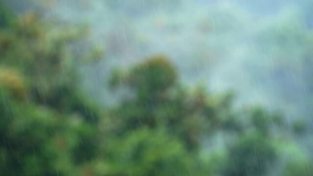 Raining in Tropical Rainforest, Heavy Rain in Rainy Season in a Storm During Horrible Bad Wet Weather with Green Scenery and Trees, Typical Climate in the Tropics in Costa Rica, Central America