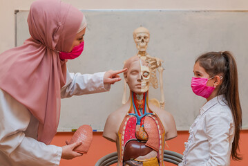 A Muslim female teacher uses the human body model to explain child student anatomy in biology class in the classroom lab.