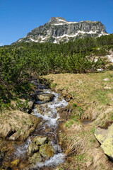 Landscape of Pirin Mountain near Popovo Lake, Bulgaria