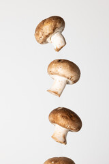 Mushrooms falling on top of each other