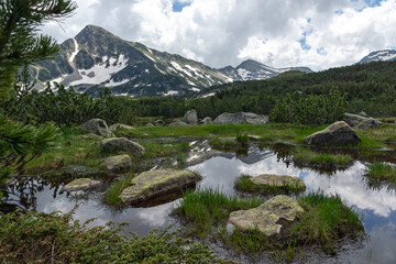 Landscape of Pirin Mountain near Popovo Lake, Bulgaria