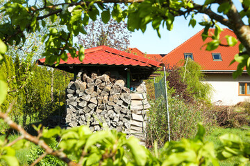 Shed with stacked firewood outdoors on sunny day