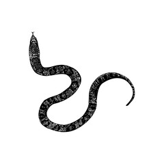 False Water Cobra hand drawing vector illustration isolated on background