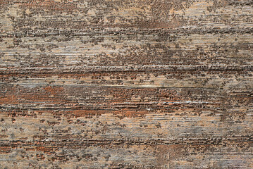 Texture of wooden surface as background, closeup view