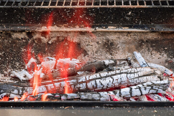 A fire to be used as basis for BBQ cook in flames generated by the burning of charcoal logs bonfires on grill