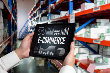 E-commerce data software provide modish dashboard for sale analysis to the online retail business