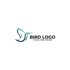 abstract bird logo design vector