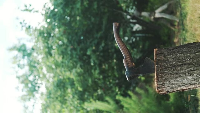 The guy throws an ax at a log. The ax plunges into the tree. Rest in a country house. Vertical video
