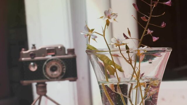 Summer or autumn bouquet  flowers in glass vase and blurred retro vintage camera on background. Nostalgia conccept. Double exposure
