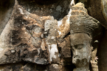 Remmains of carved statue with spider in the foreground