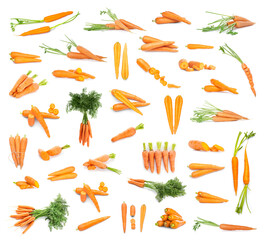 Set of fresh carrots isolated on white