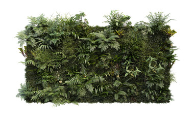 Tropical plant garden vertical on a white background - obrazy, fototapety, plakaty
