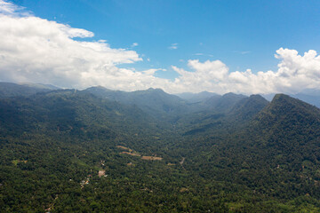 Obraz premium Mountains covered rainforest, trees and blue sky with clouds. Sri Lanka.