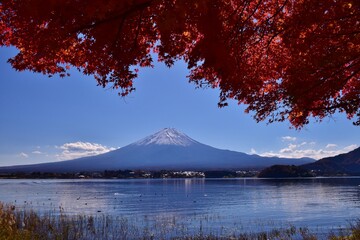 秋の河口湖　紅葉と富士山