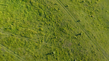 roads cross a green meadow shooting from a drone ukraine