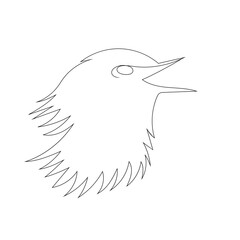 Tailor bird head line art drawing style, The bird sketch black linear isolated on white background, And the  best bird vector illustration. 
