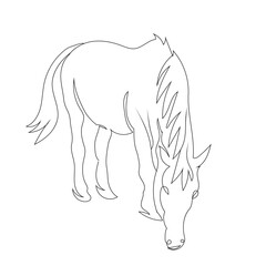 Horse eat grass line art drawing style, The horse sketch black linear isolated on white background, And the  best horse line art vector illustration.