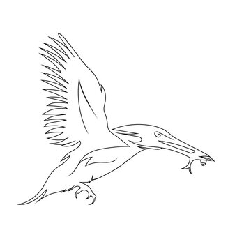 kingfisher catching fish line art drawing style, The bird sketch black linear isolated on white background, And the  best kingfisher catching fish vector illustration. 