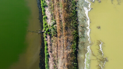 Road through a swamp Ukraine, Ukrainian landscape, photo from a drone. Aerial view