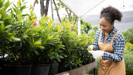 Portrait of beautiful women owner standing in own tree shop and smiling. African American females...