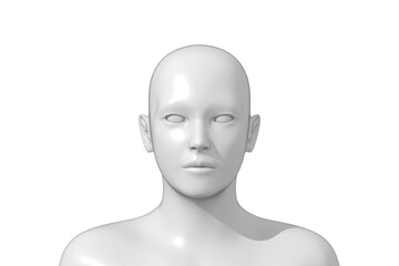 Man, Human Male Head, 3D