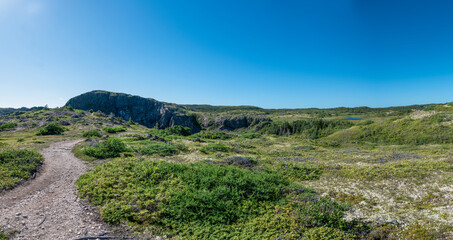 Fototapeta na wymiar Spiller's Cove near Twillingate, Newfoundland starts to emerge near the end of the hiking trail.