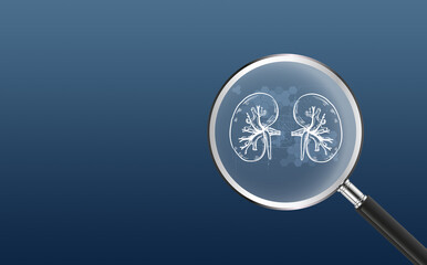 3d rendering Kidney hologram, verifies the test results on the virtual interface, and analyzes the data. Kidney disease, kidney stones, cutting-edge technologies, and future medicine