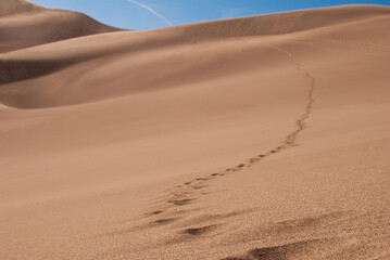 Great Sand Dunes National Park, Colorado