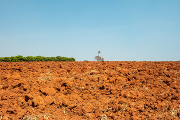 The organic soil in agricultural rural environment area, After plowing the topsoil in Thailand.
