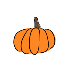 A cute one orange pumpkin. Vector graphic for poster, postcard, t shirt design. Hand drawn outline illustration in doodle style. Autumn food, Halloween celebration