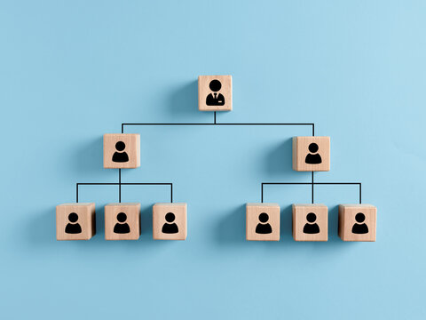 Company hierarchical organizational chart of wooden cubes on blue background. Human resources management and business concept