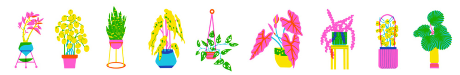 Set of plants in a pot. Flowers in trendy risograph print texture style. Hand drawn graphic of succulent with leaves on background. Vector illustration of palm leaf