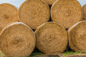 stacked hay bales after harvest. dry straw pressed into individual straw bales. direct view of the...