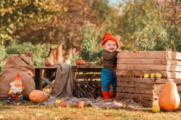 Autumn season. Happy baby boy in costume of dwarf plays in kitchen-garden. Halloween holiday