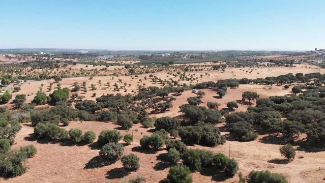 4K aerial drone video of green avis hills in Avis, Alentejo