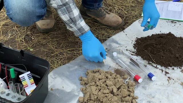Closeup of agronomist hands in rubber gloves taking soil sample into test tube for laboratory analysis outdoors. Scientist preparing material for research. Environment protection, soil certification