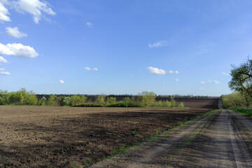 Fototapeta na wymiar Agricultural field in the spring time