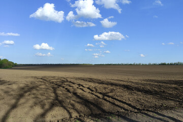 Agricultural field in the spring time