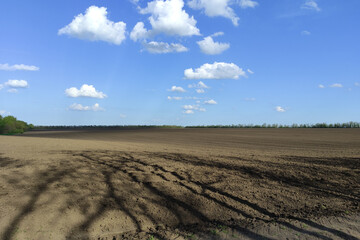 Fototapeta premium Agricultural field in the spring time