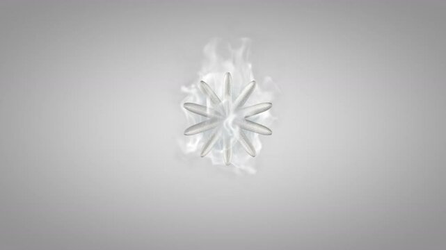 Decorative 3d flowers on a gray background. Light Gray smoke envelops the flower. Abstract splash animation.