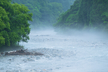 雨上がりの森の渓谷　夕霧舞う