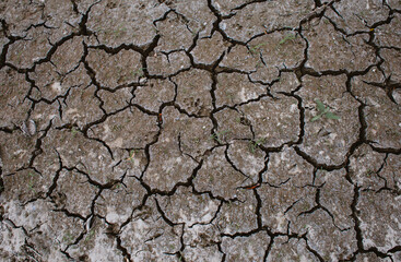 Dry land drought Cracked Ground  - 520493476